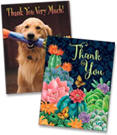 Blank Note Card Assortment 28288